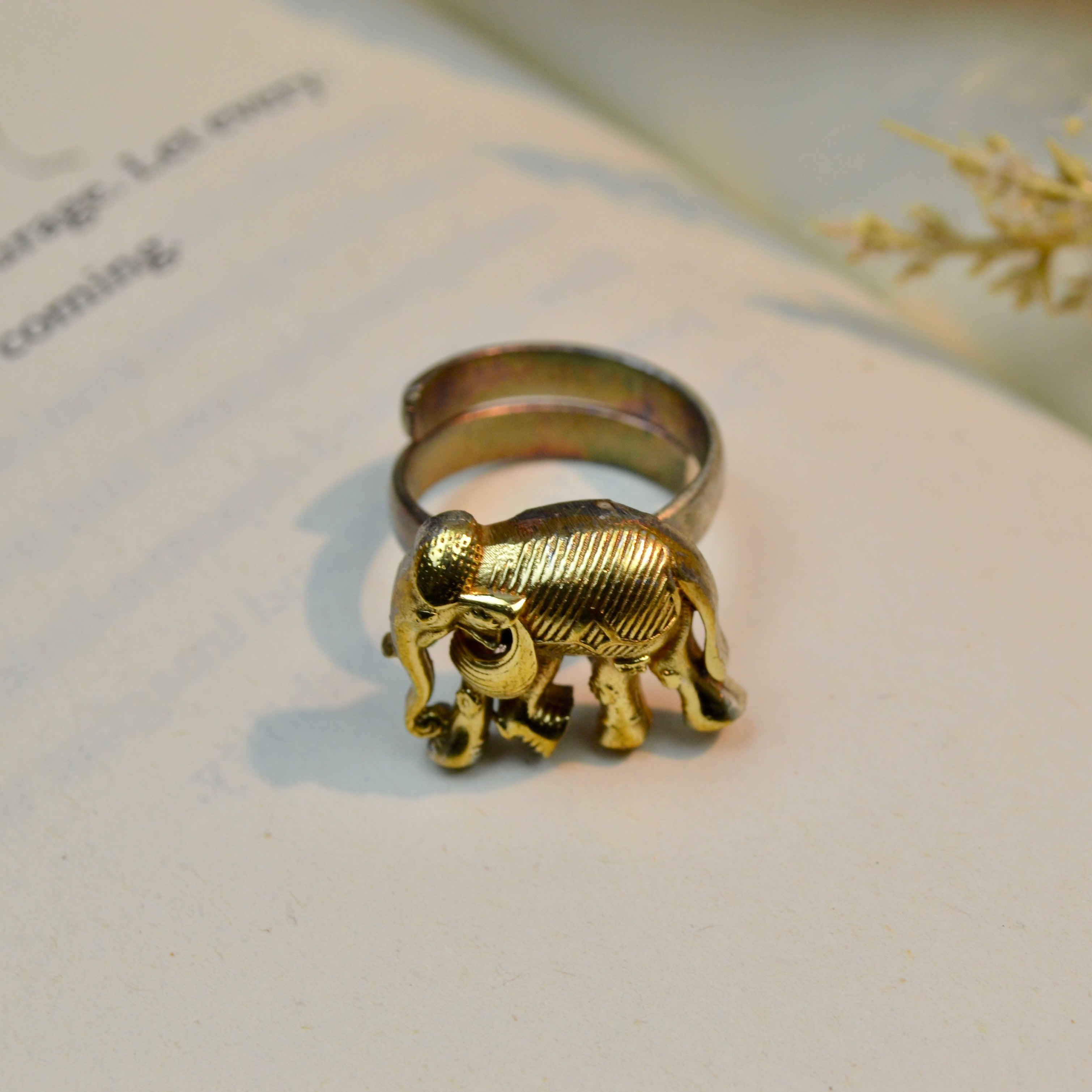 VAP1038-Elephant Ring