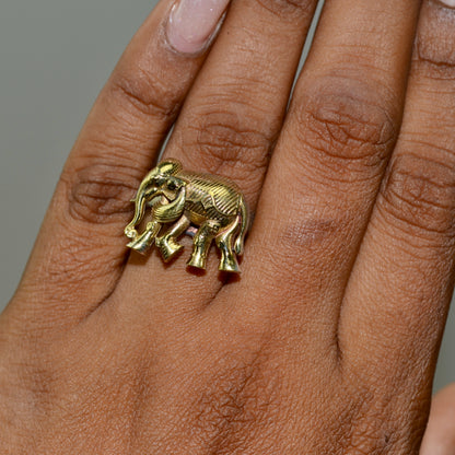 VAP1038-Elephant Ring